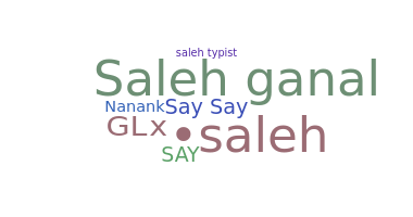 Gelaran - Saleh