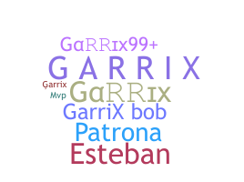 Gelaran - Garrix